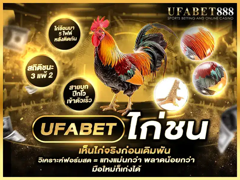 ufabet ไก่ชน แบบถ่ายทอดสดช่วยให้เห็นฟอร์มไก่จริง วิเคราะห์ได้ทันที เพิ่มโอกาสชนะเดิมพัน