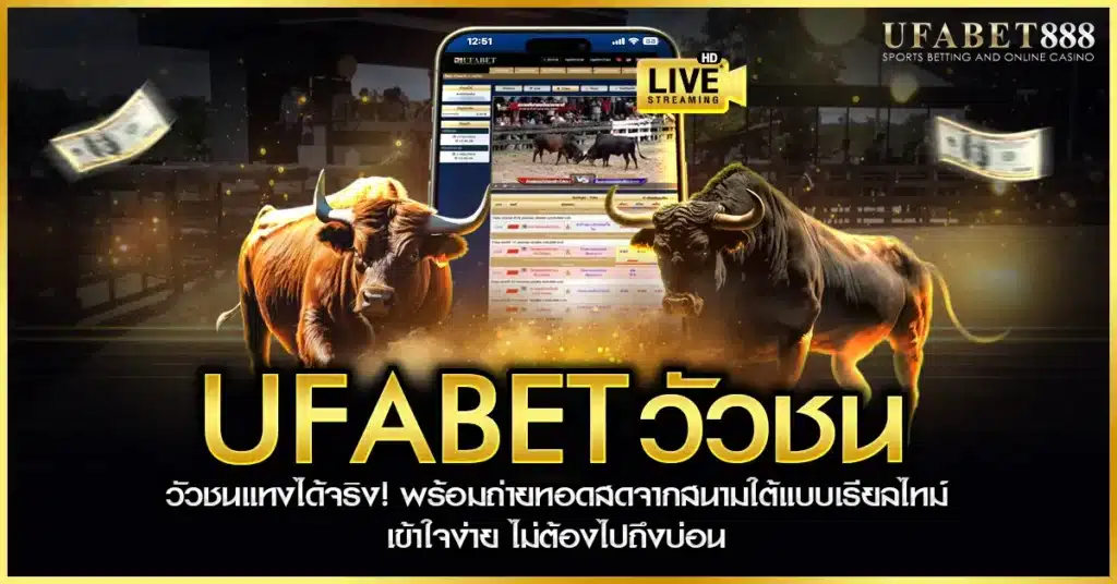 ufabet วัวชน คือการแทงวัวชนออนไลน์แบบถ่ายทอดสดจากสนามจริง พร้อมระบบเดิมพันครบวงจร