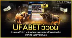 ufabet วัวชน คือการแทงวัวชนออนไลน์แบบถ่ายทอดสดจากสนามจริง พร้อมระบบเดิมพันครบวงจร