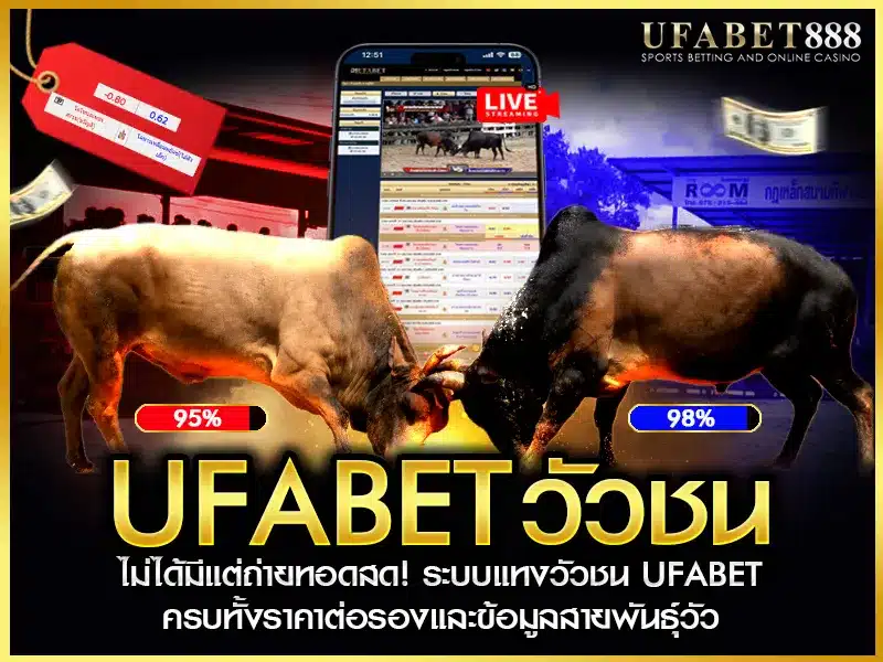 ufabet วัวชน ถ่ายทอดสดคู่จริงจากสนามภาคใต้ พร้อมระบบแทงสดแบบมืออาชีพ