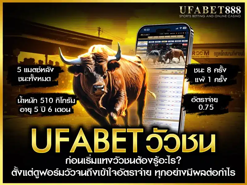 ufabet วัวชน มีข้อควรรู้สำคัญทั้งเรื่องสายพันธุ์ กติกา และรูปแบบราคาเดิมพัน