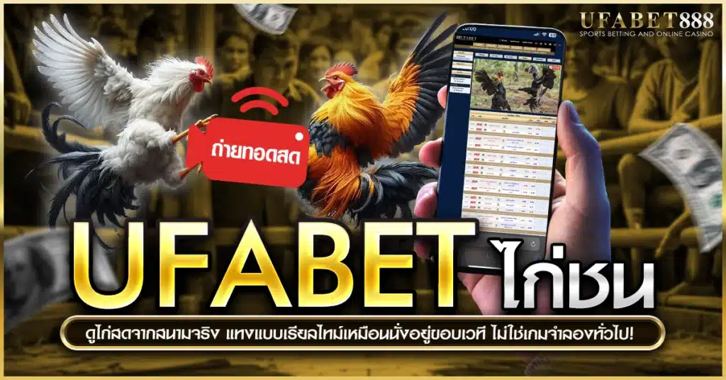 ufabet ไก่ชน ถ่ายทอดสดชนไก่จริงจากสนามดัง แทงสดได้เหมือนอยู่ข้างเวที