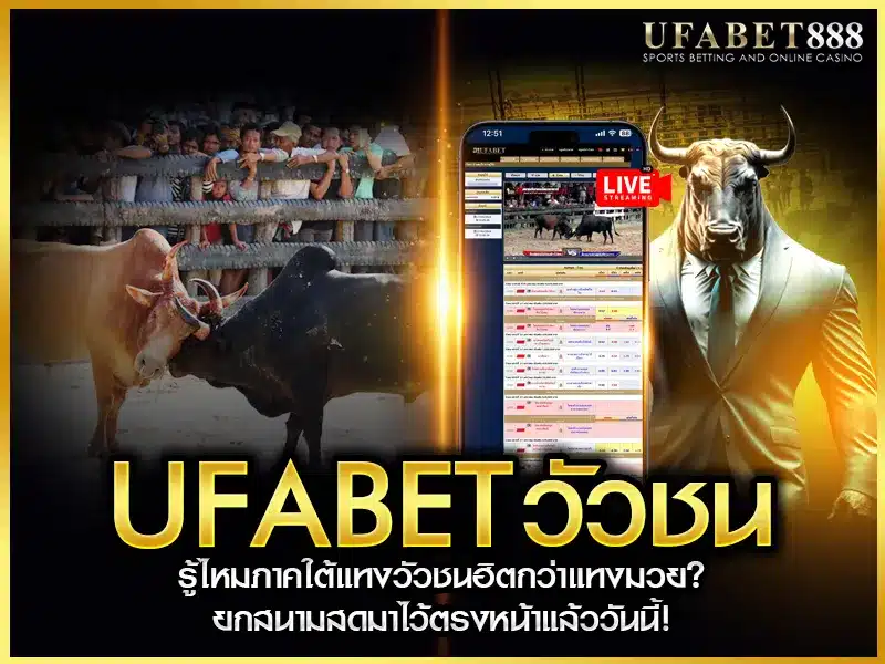 ufabet วัวชน ได้รับความนิยมสูงจากผู้เล่นภาคใต้ เพราะมีการถ่ายทอดสดจากสนามจริง พร้อมตลาดเดิมพันครอบคลุม